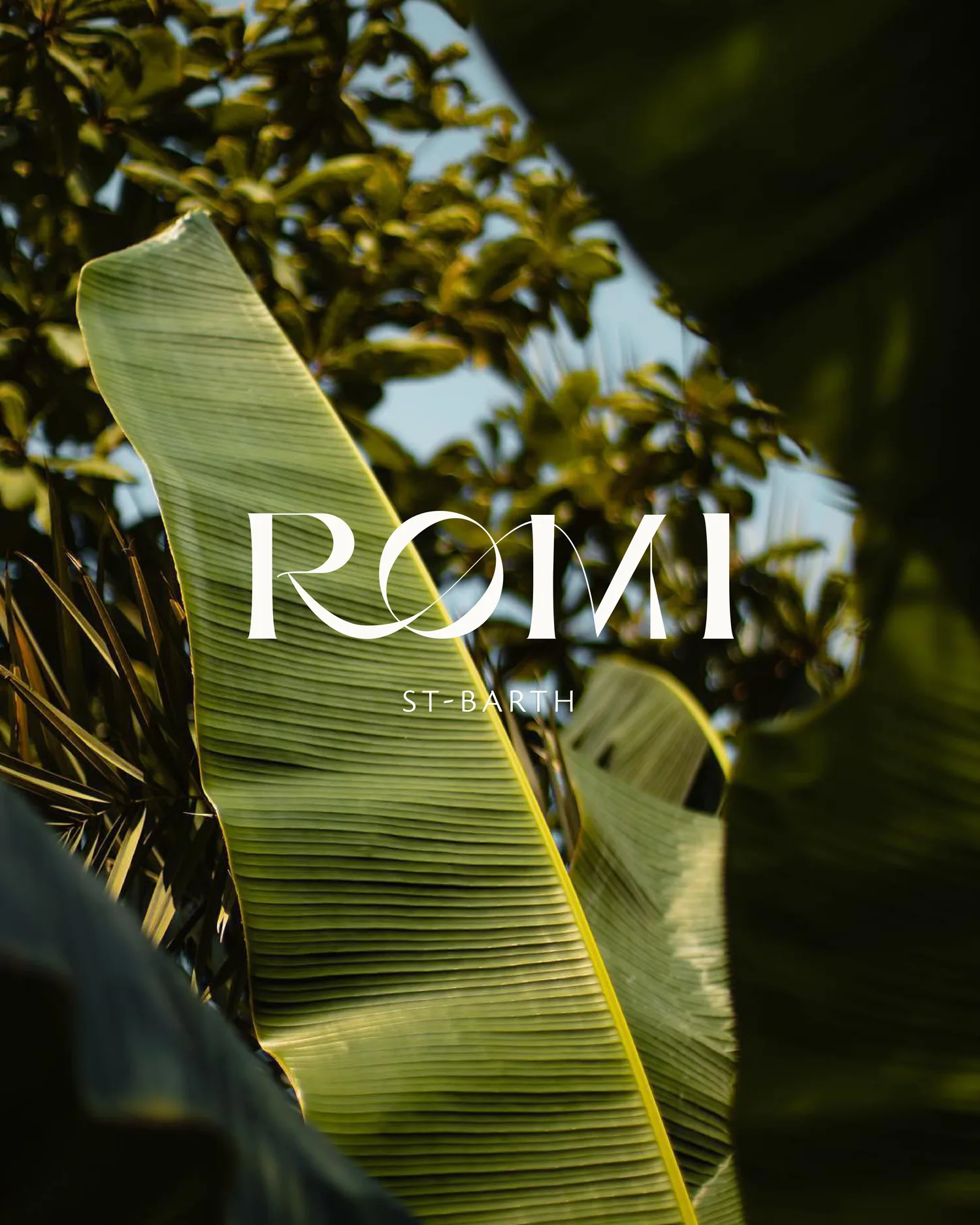 Identité visuelle Romi